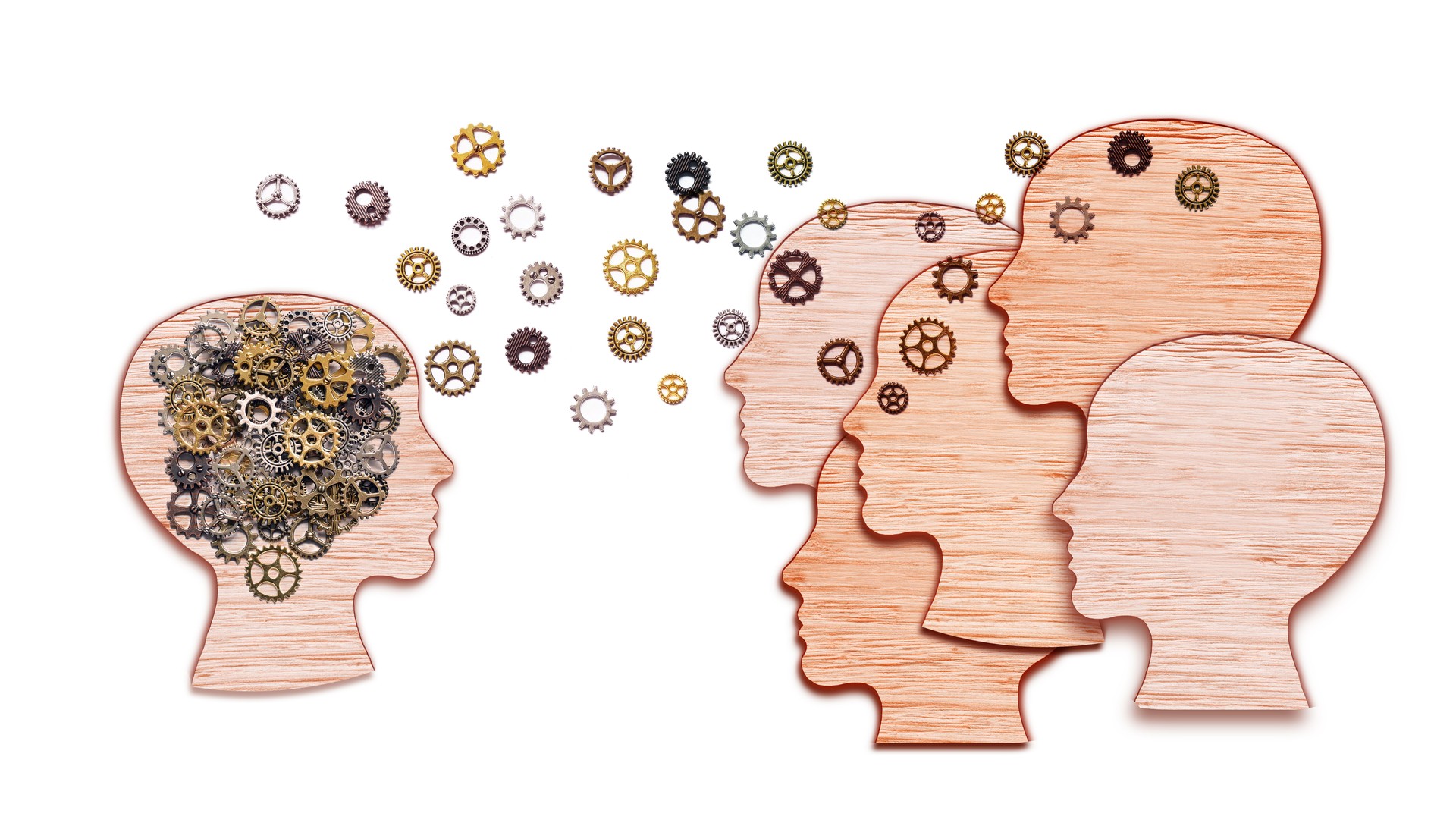 Teamwork and Leadership education symbol concept. Human heads shaped with gears brain idea made of woods working together as team in working partnership on white background